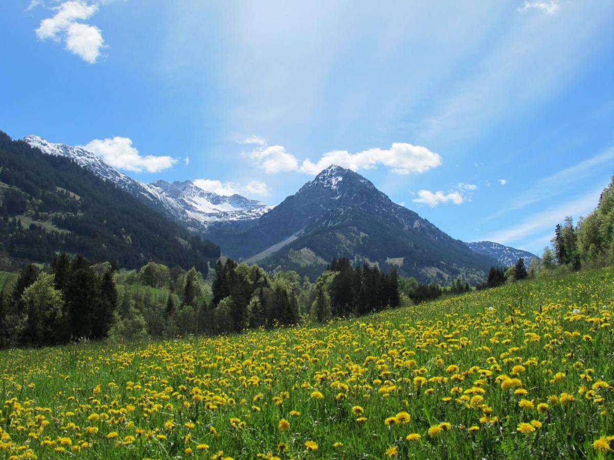 Hornblick Fewo- Ab Mai Freie Fahrt Mit Bergbahnen Oberstdorf Eksteriør billede