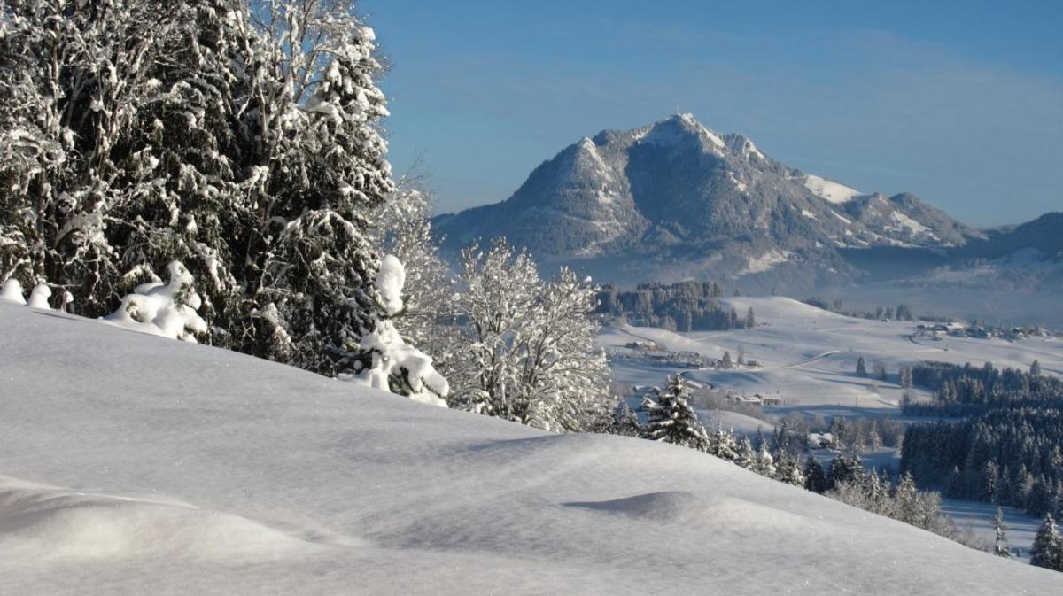 Hornblick Fewo- Ab Mai Freie Fahrt Mit Bergbahnen Oberstdorf Eksteriør billede